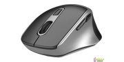 Ratón inalámbrico silencioso ergonomico negro